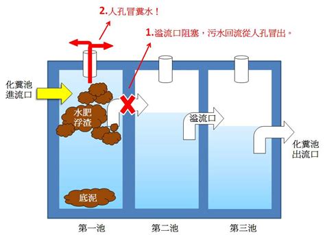 化糞池位置